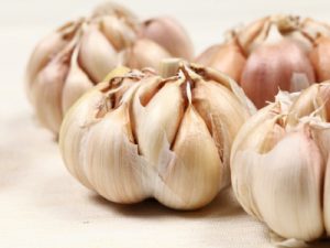 Fresh cloves of garlic