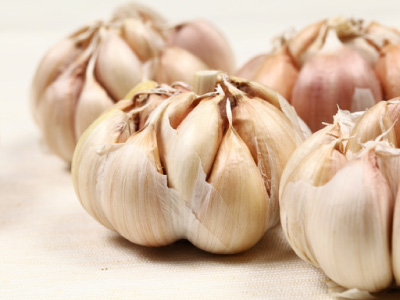 Garlic