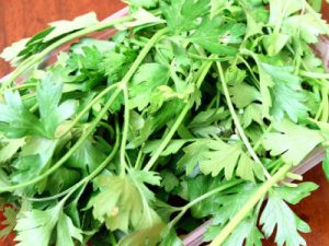 A bundle of parsley leaves