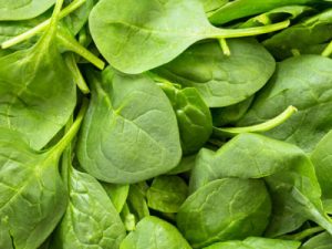 Washed spinach leaves